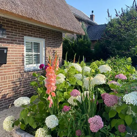 Villa Luxe Garden Ams Area